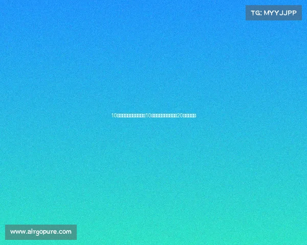 10万元自动挡就选这四款，10年开不烂，前两款曾卖20万堪称经典